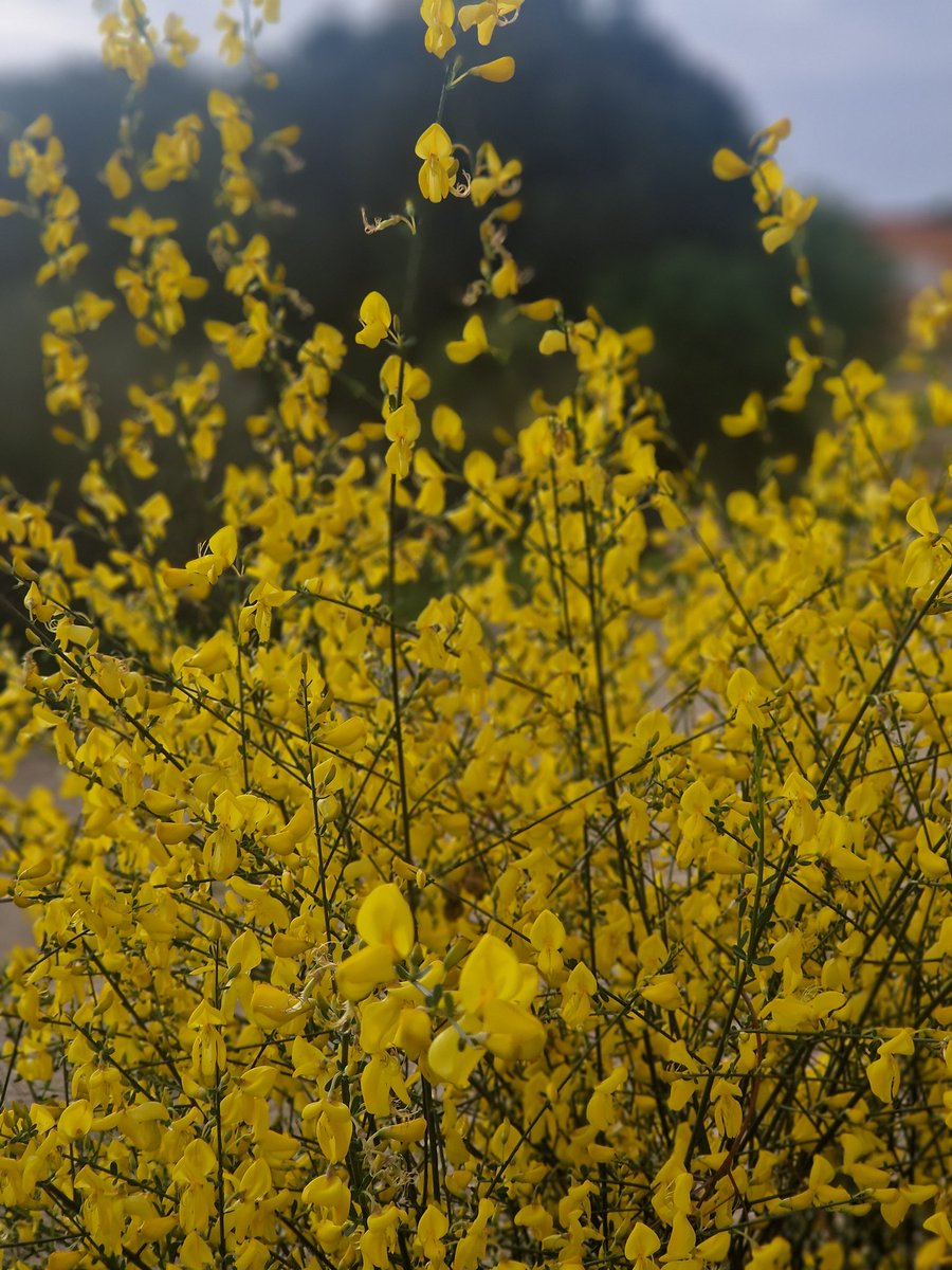 Extremaduraconpeques tweet media