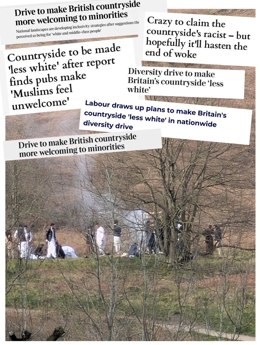 Robert Abel tweet media