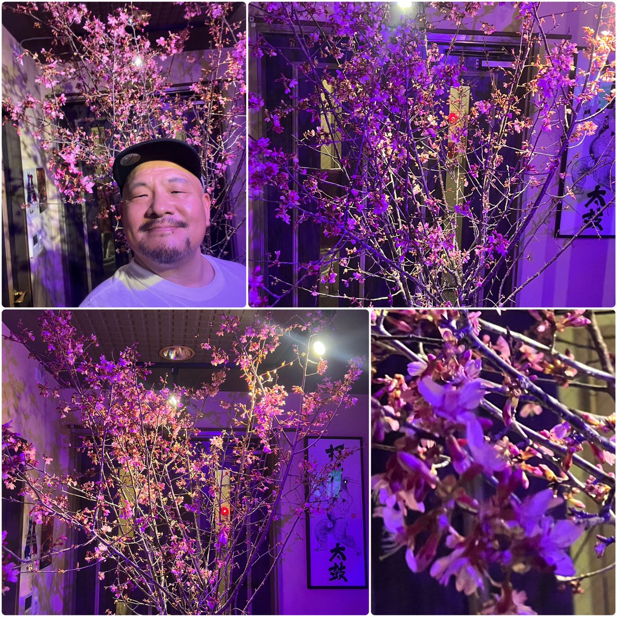 のら蔵 tweet media