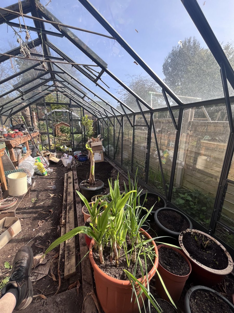 mygardentalkstome tweet media