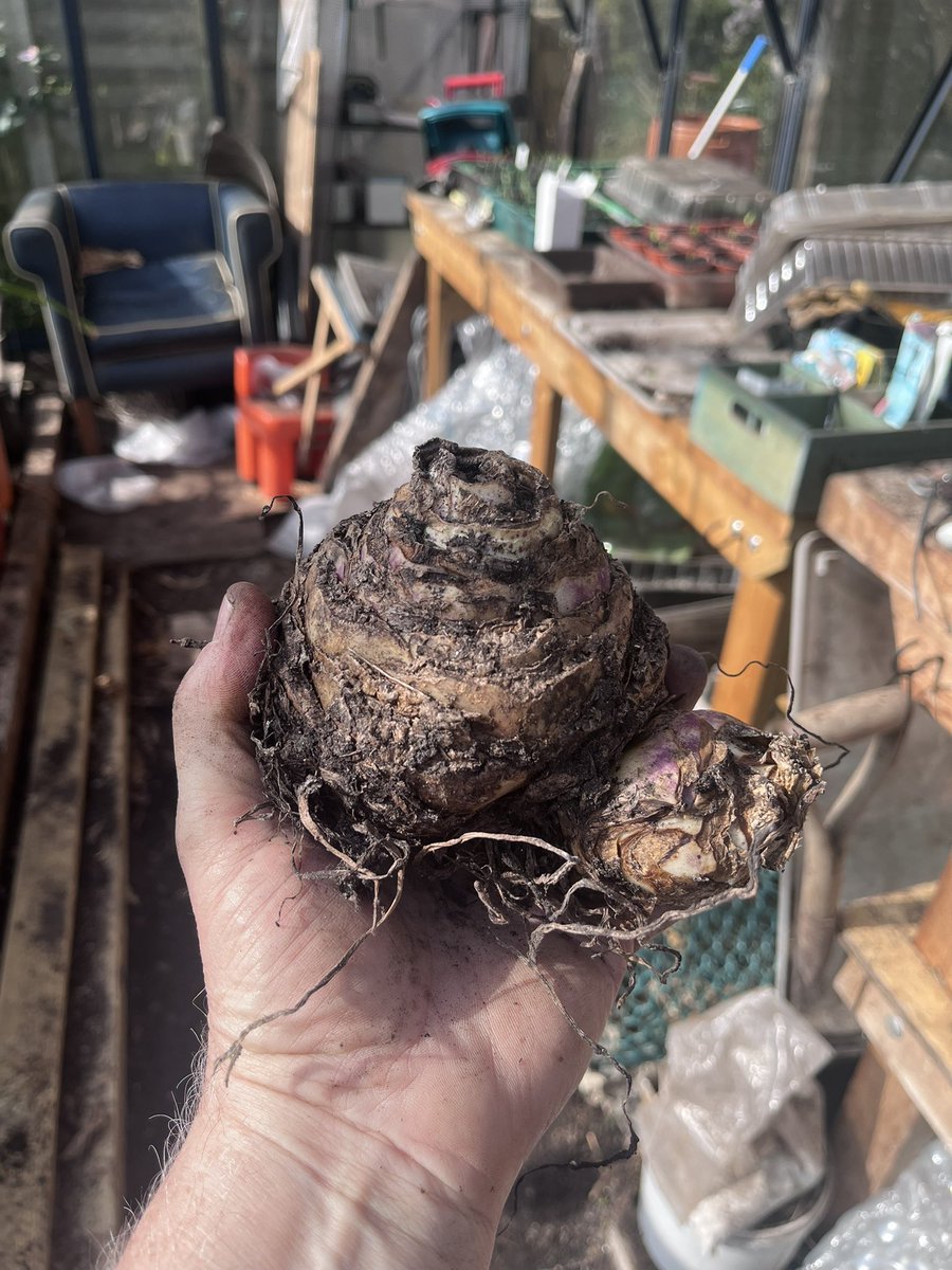 mygardentalkstome tweet media