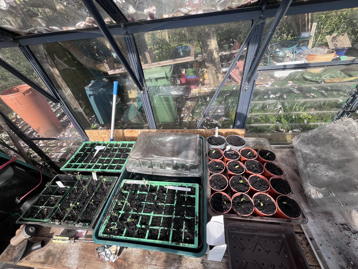 mygardentalkstome tweet media