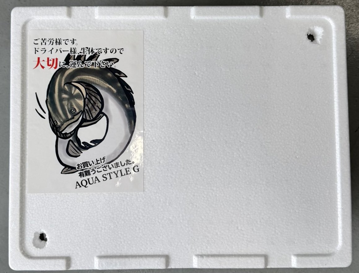 AQUA STYLE G tweet media