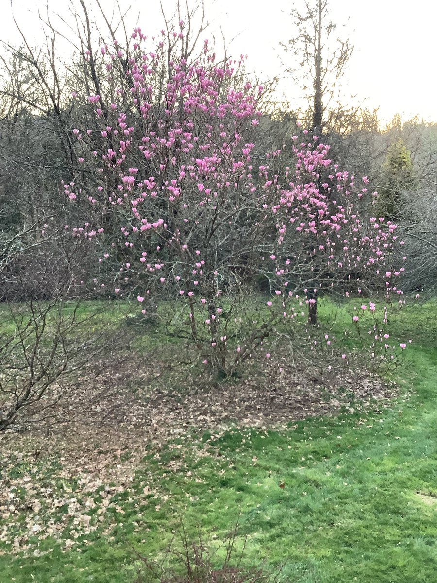 Ann Miles tweet media