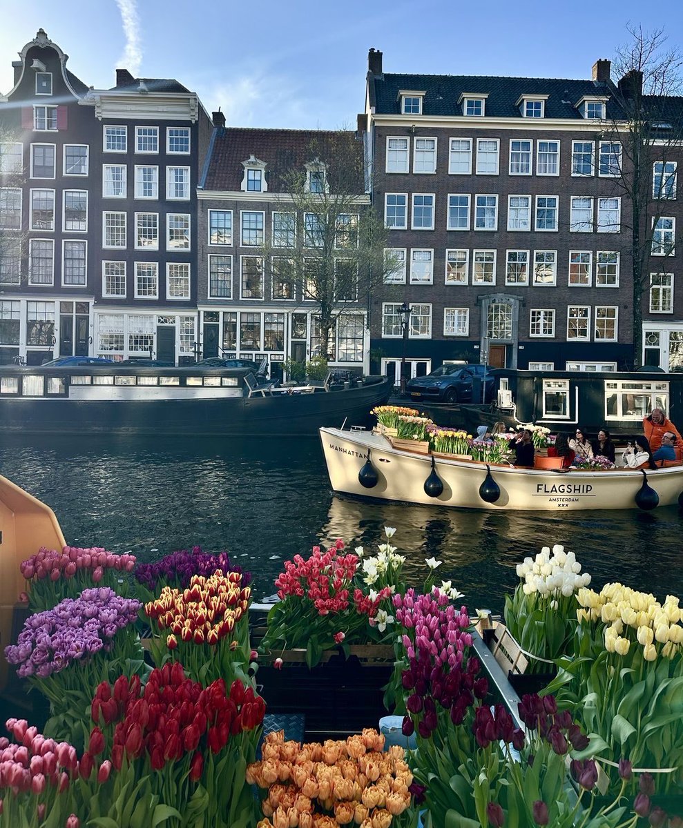 vistaaura tweet media