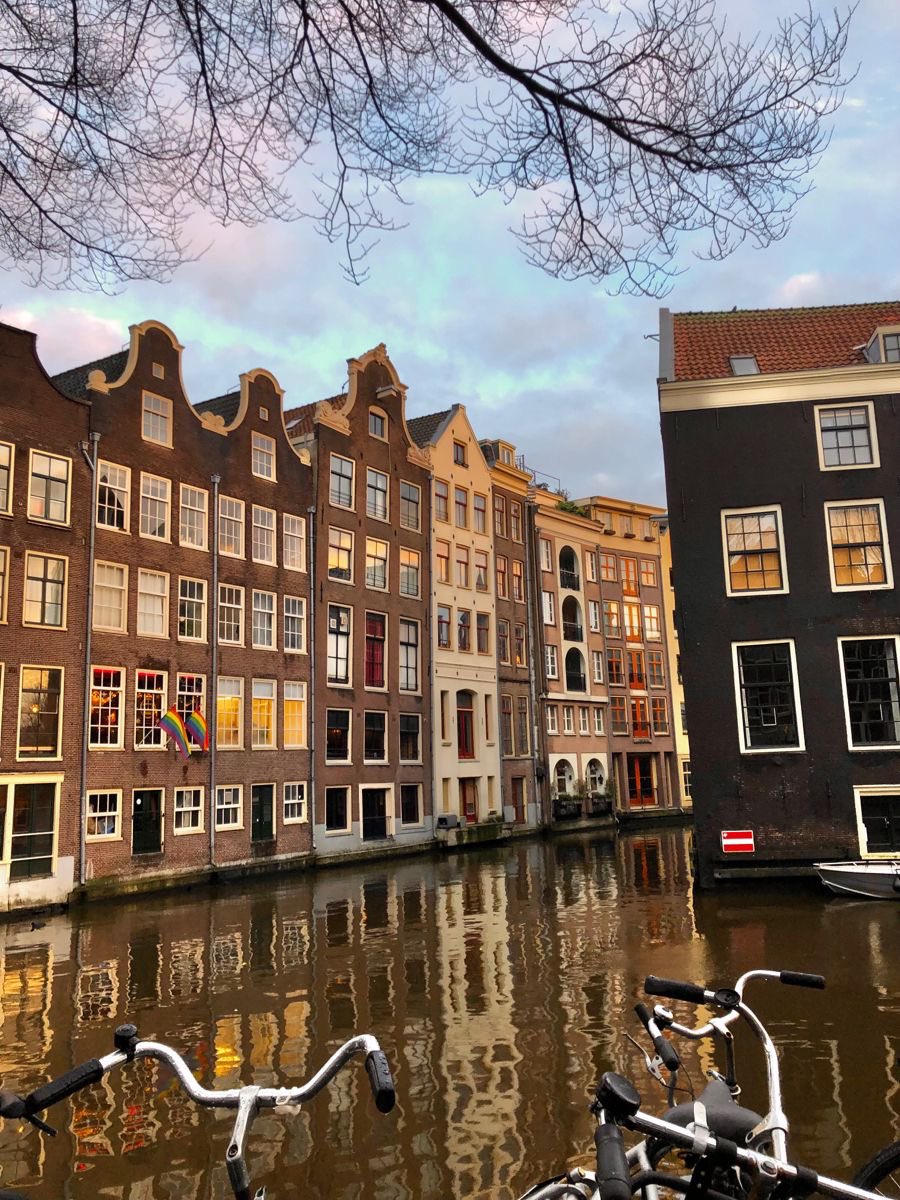 vistaaura tweet media