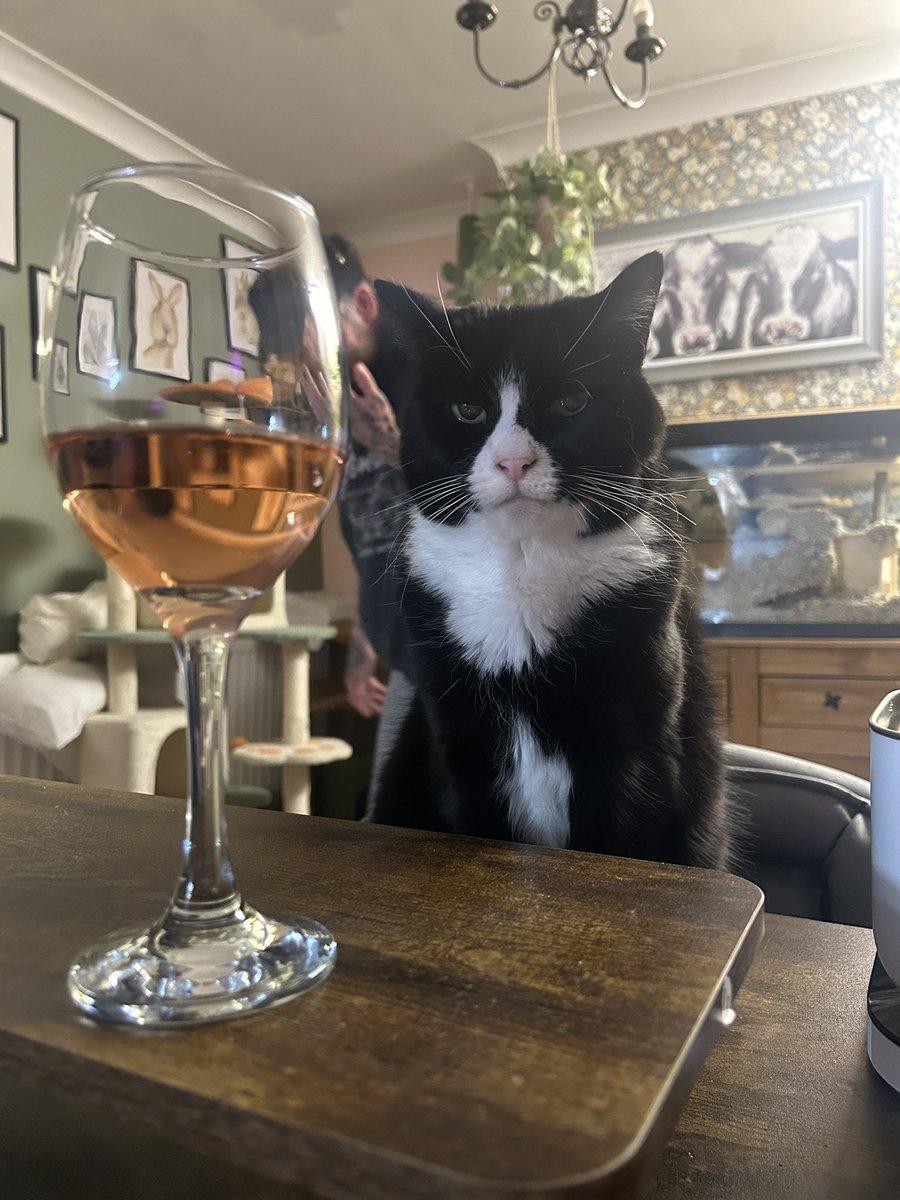 Daisy Barratt tweet media