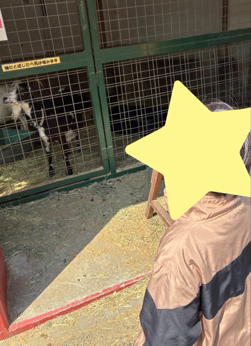 ktt2nk3's tweet photo. 動物たちと触れ合ってきました🐾  
娘ちゃんは初めてのポニー乗馬体験でずっとニコニコ☺️  
息子くんは怖かったみたいで遠くからチラッと覗いてた😅

他にもヤギやヒツジやウマにエサやりをして楽しんでいました♪

#子育て https://t.co/p36ALLBpUF