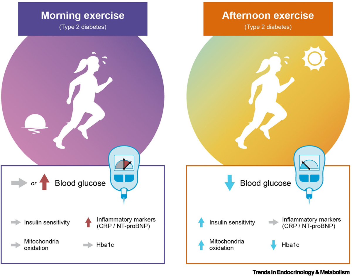 Christoph Burch tweet media