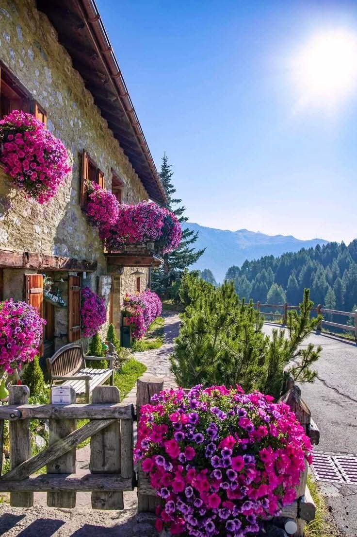 Στραβοξυλο tweet media