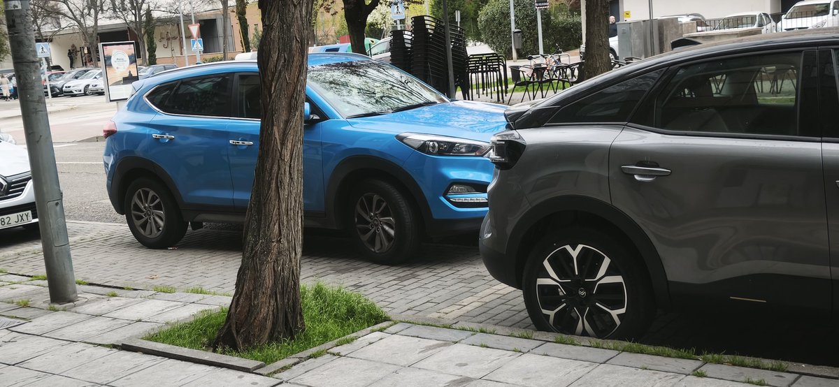 Pinto Existe tweet media