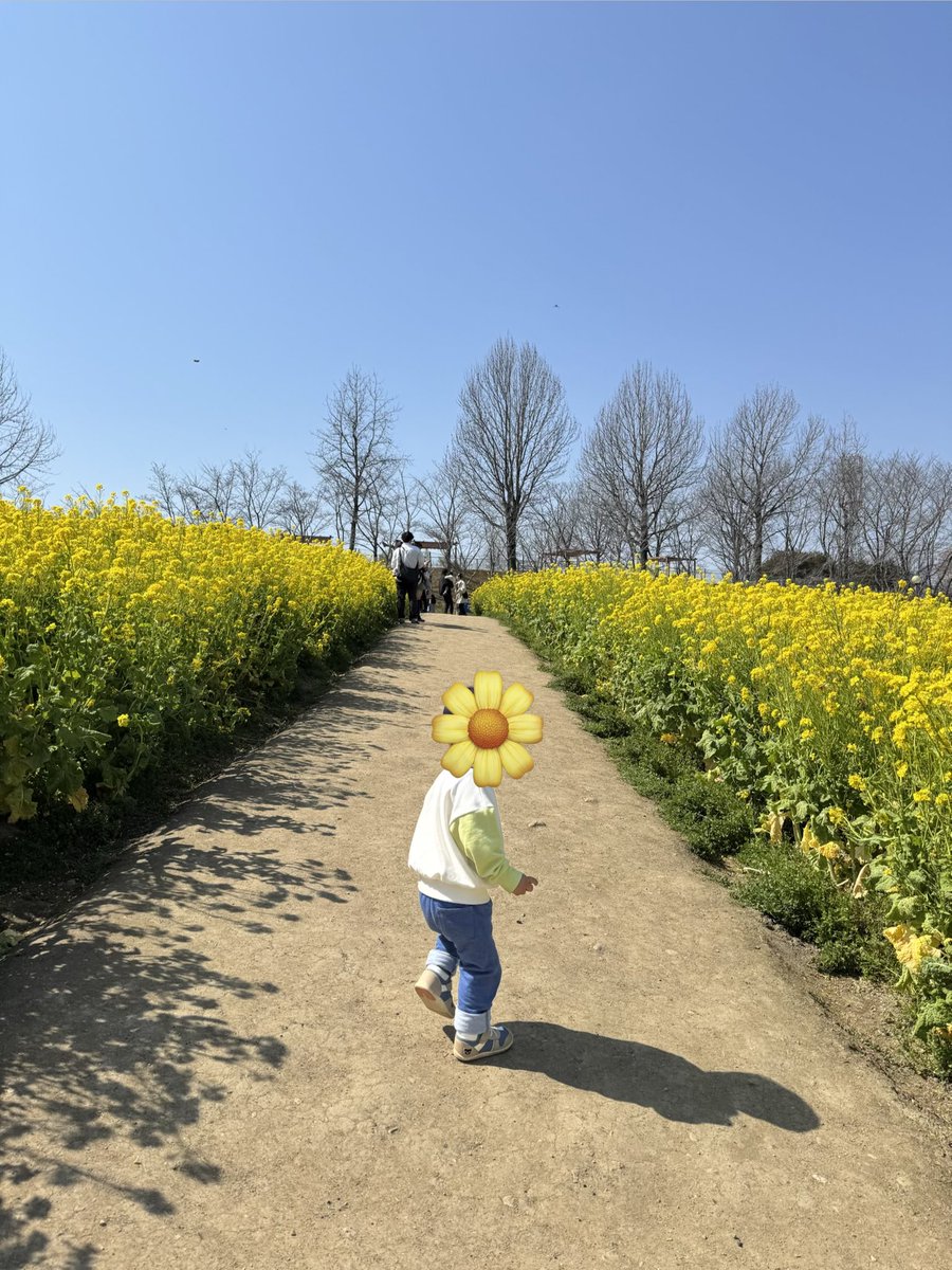 恒例親バカ写真。
お出かけ日和でした🌼