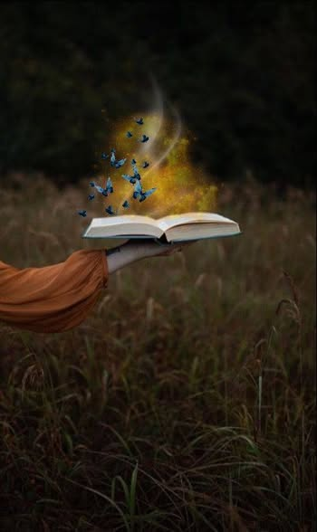 Dandelion 🌹 tweet media