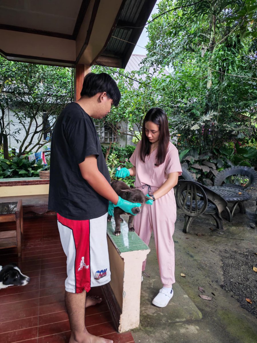 rraineeeeee's tweet photo. tx sa ako furbabies kay mange outbreak :// https://t.co/dgDsewv7jc