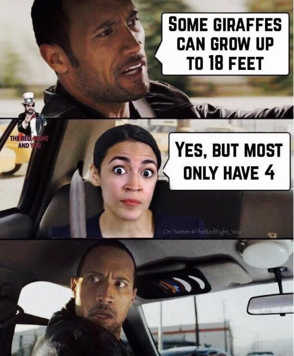 indyreportsus's tweet photo. Good morning patriots! 😂 https://t.co/I9DLIxy2Tz