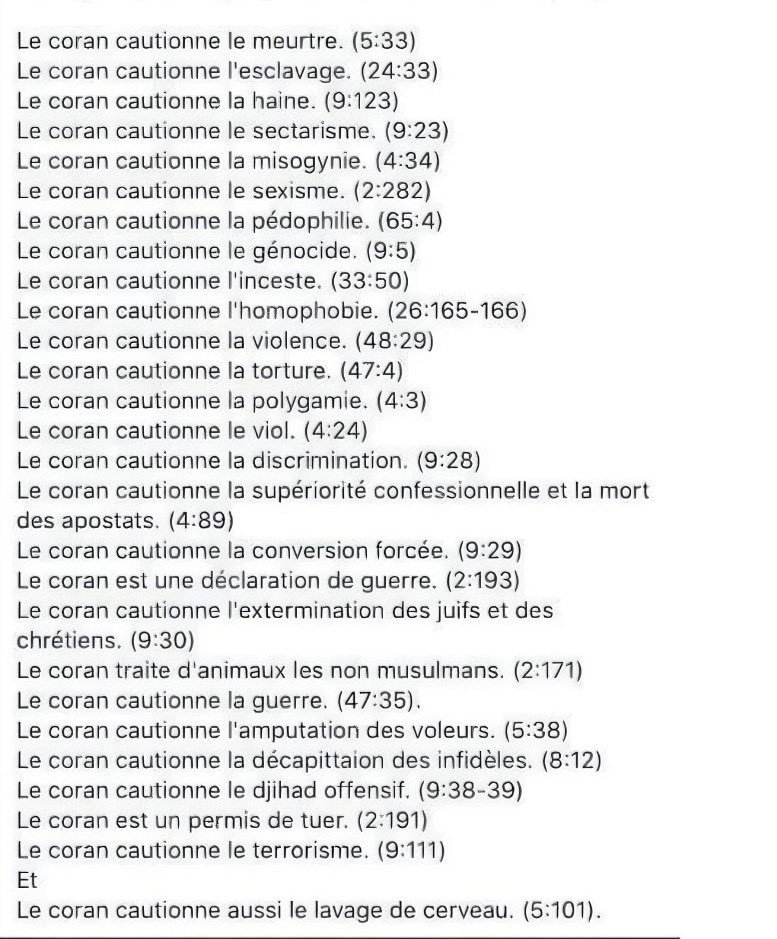 frapa dingo tweet media