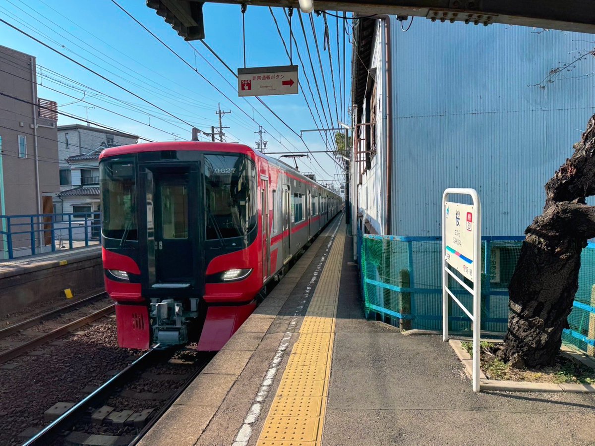 🍏🌸 こはぅ 🌸🍎 tweet media