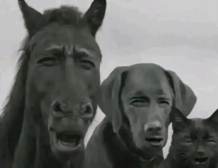 Superteam Earn tweet media