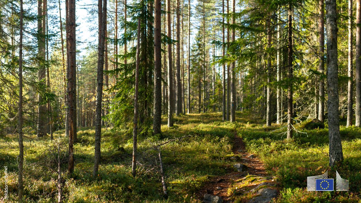 EU Agriculture🌱 tweet media