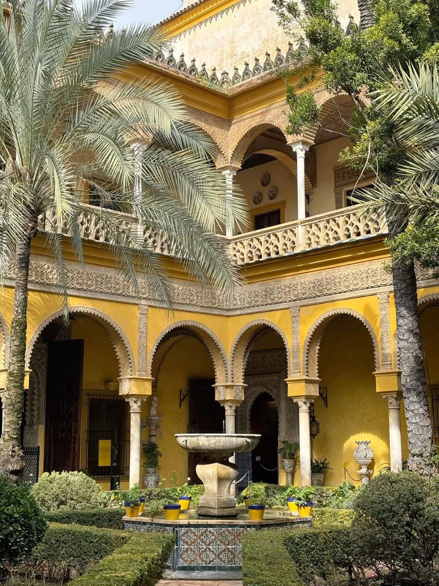 Miscelánea🍀 tweet media