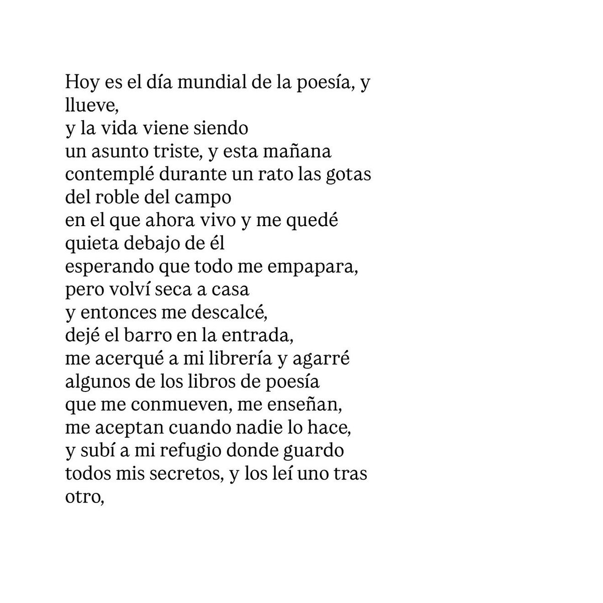 elvira sastre sanz tweet media