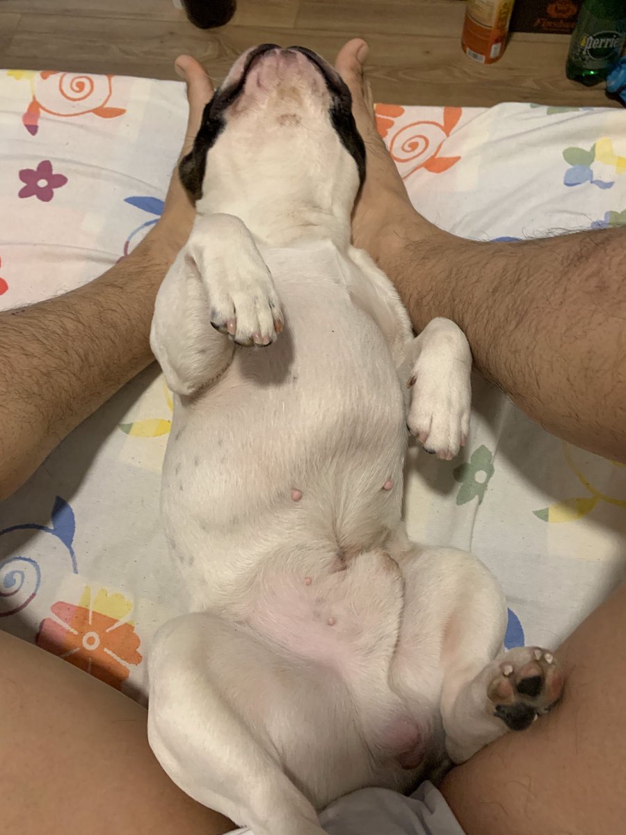 thomas 托马斯-射手男 tweet media