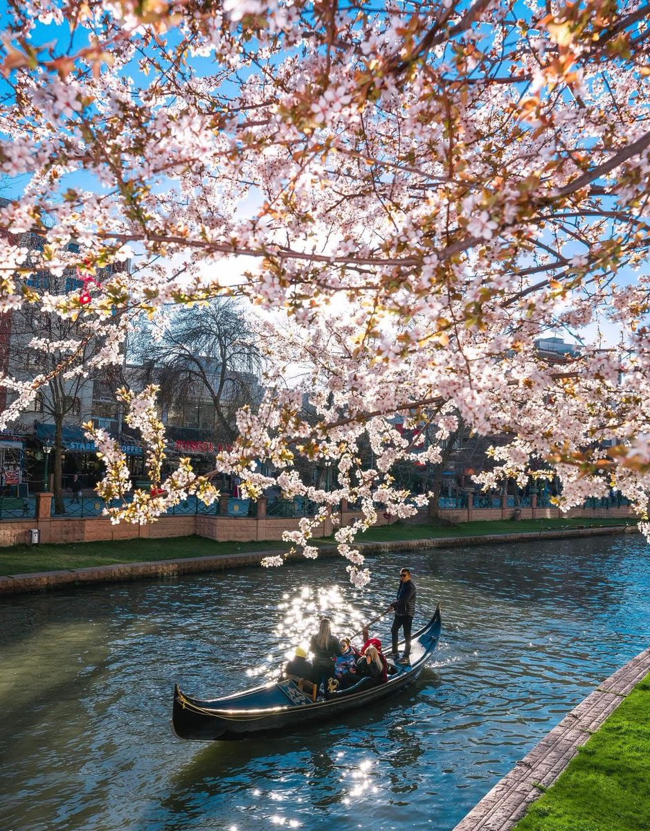 Nevruz; toprağın uyanışı, umudun yeniden yeşermesi demek…

Nevruz Bayramı’nın şehrimize, ülkemize ve tüm dünyaya umut, huzur ve güzel başlangıçlar getirmesini diliyorum.