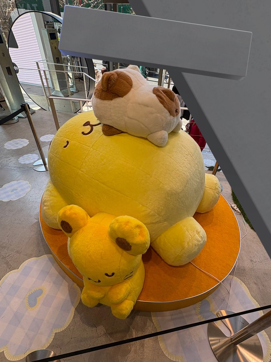 COCO_dis0108's tweet photo. andstのぽむちゃん😳
#ポムバサダー https://t.co/87JMw8qzqc