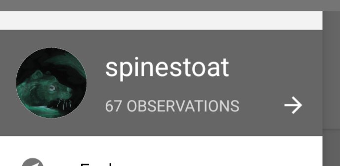 spine 🌒⚙️🦡 misses SPG tweet media