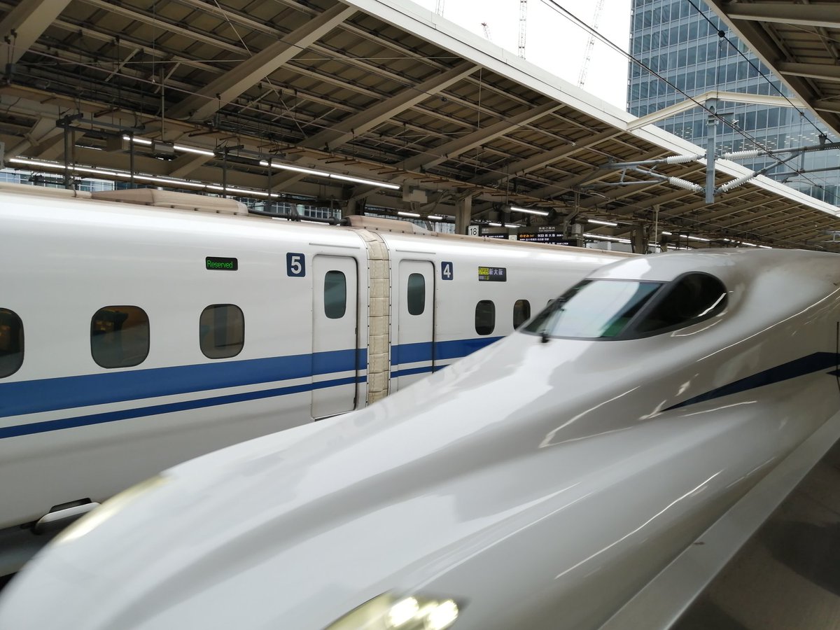 志伝 飛龍 tweet media