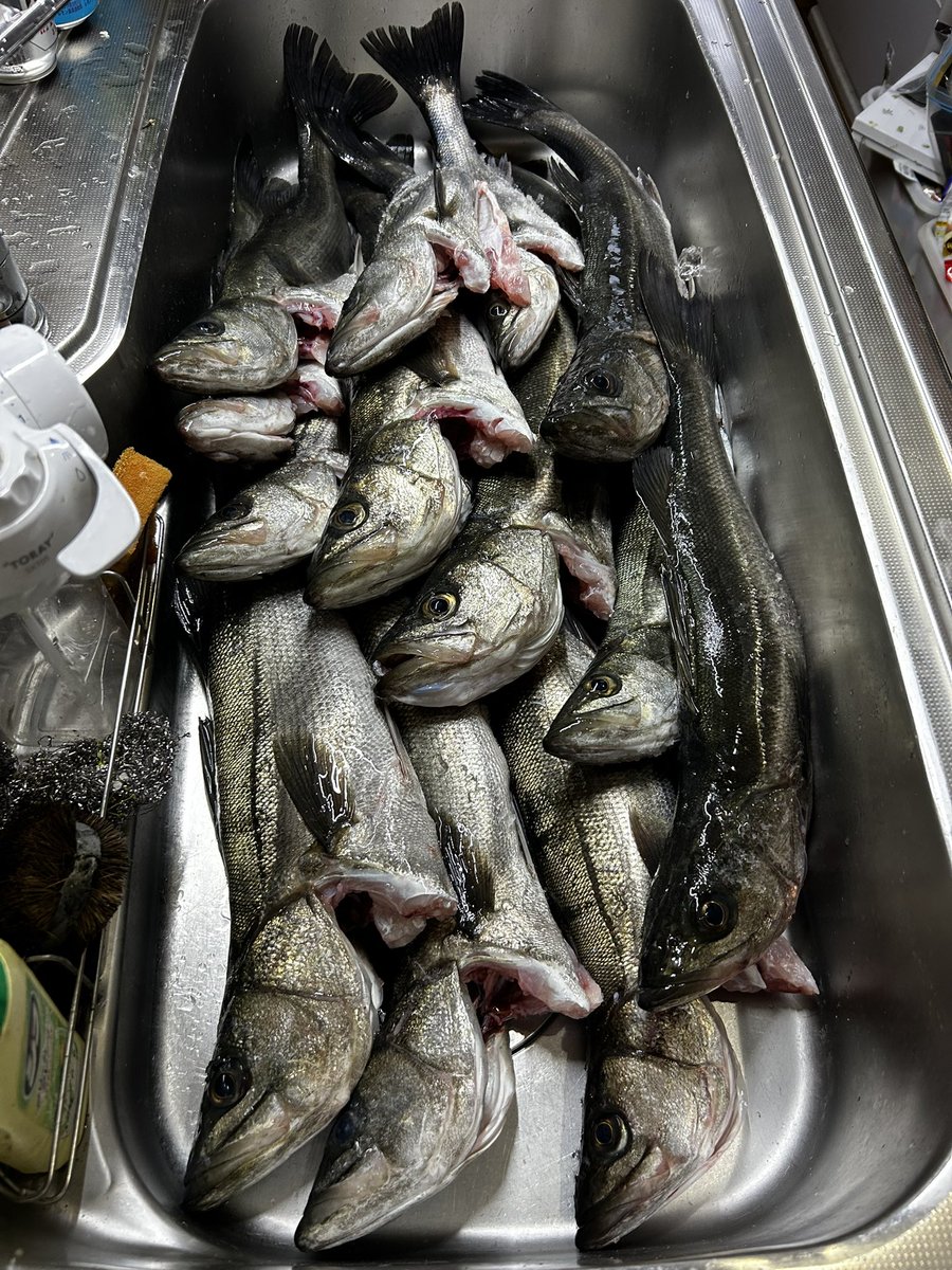 ゆうぼん tweet media