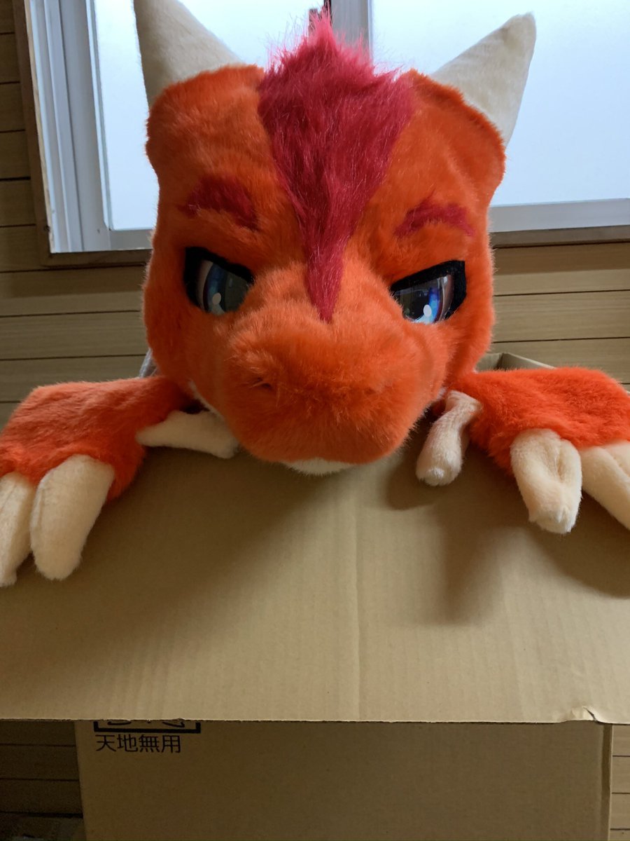 まだ名前のない怪獣 tweet media