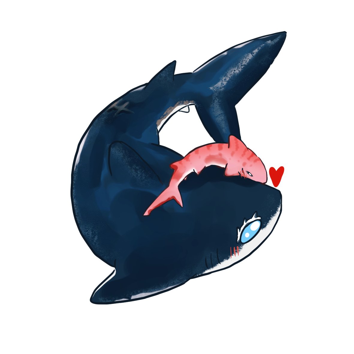 Kazu⬆️😎⬇️🐯 tweet media