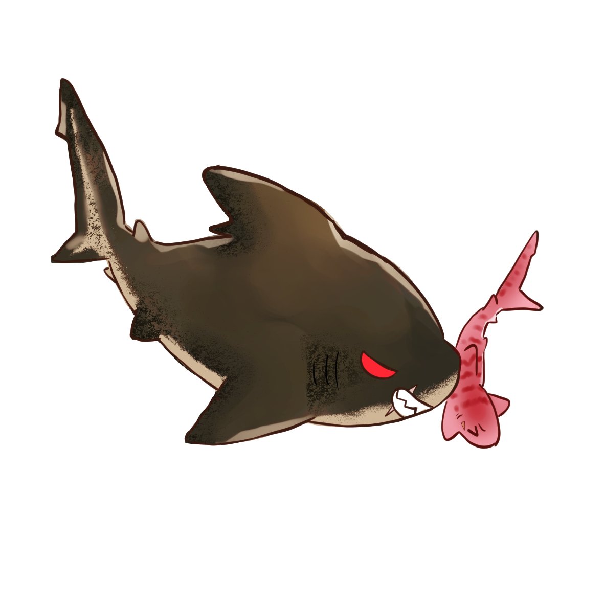 Kazu⬆️😎⬇️🐯 tweet media