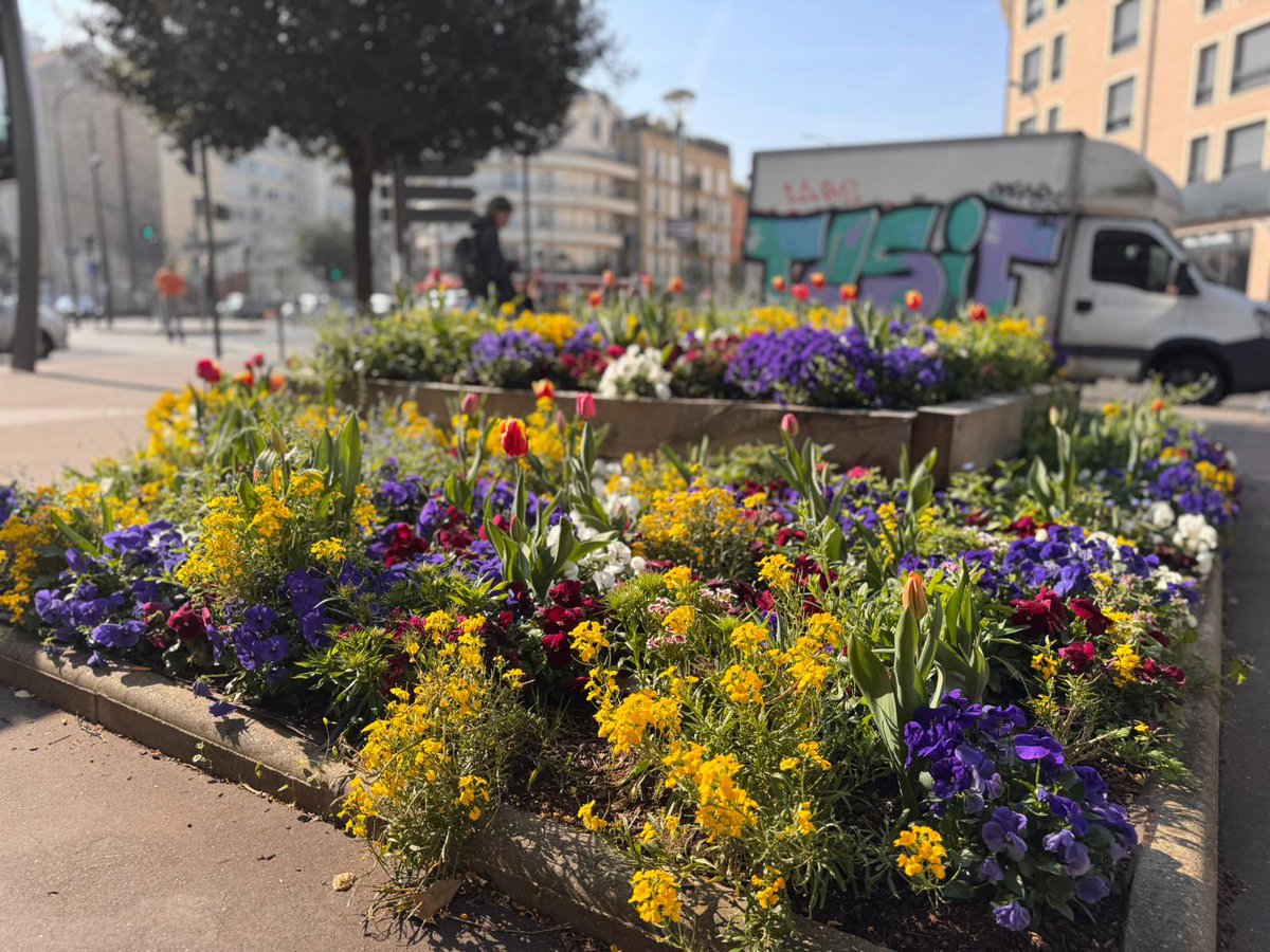 AzzazNadege's tweet image. ☀️🌱🌳🌸🌺 C’est (enfin!) le Printemps à #Châtillon!
Profitez des jours qui rallongent, de l’ensoleillement et des magnifiques espaces verts et parcs de notre ville entretenus avec ♥️ par nos formidables jardiniers!