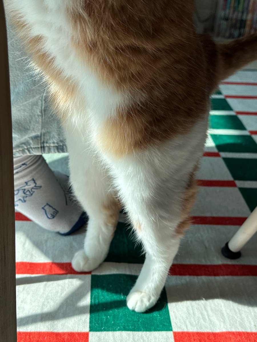 순대만 주세요 tweet media