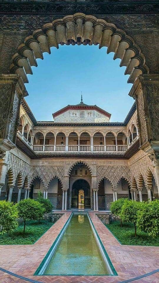 Miscelánea🍀 tweet media