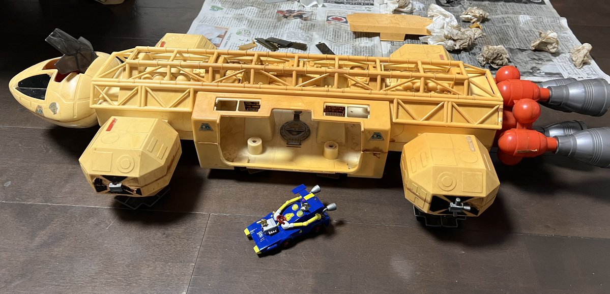 🇷🇸ヒラマッチ tweet media