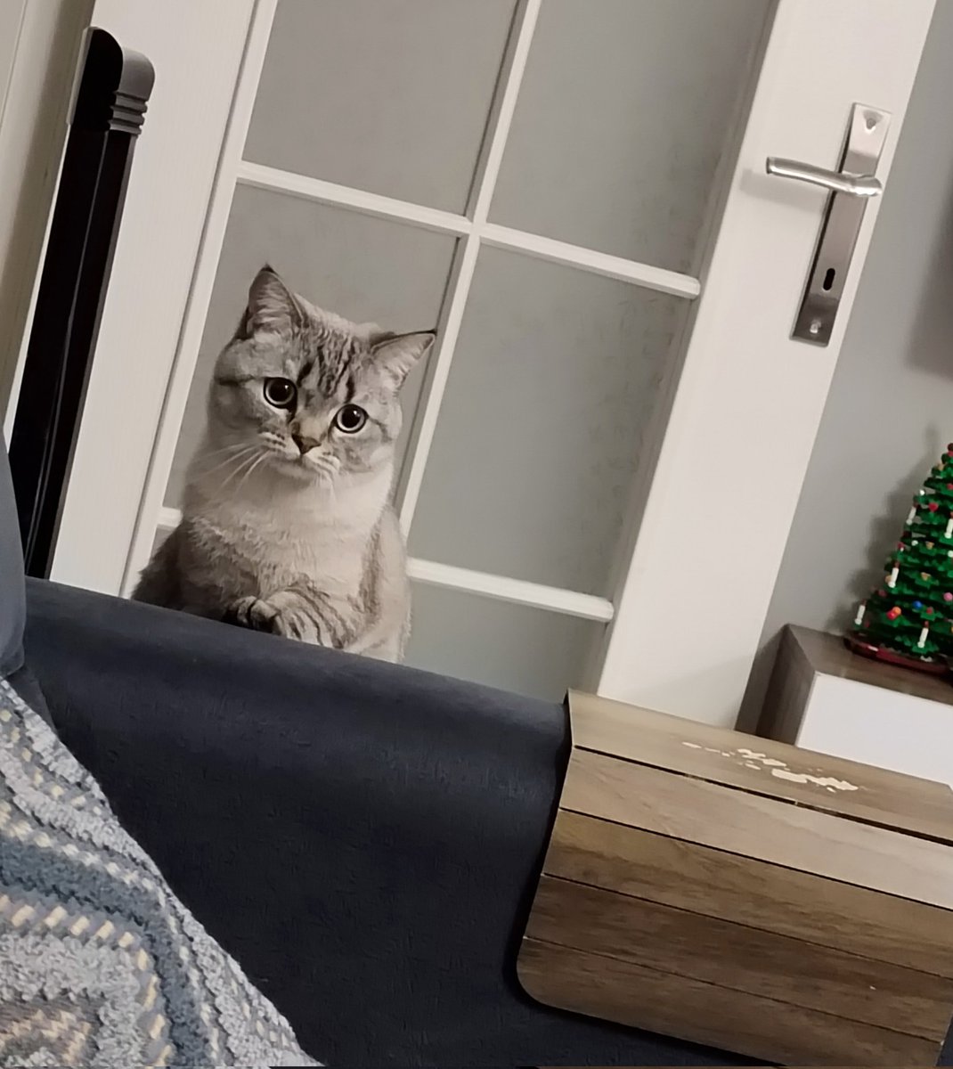 devran 🇪🇸 tweet media