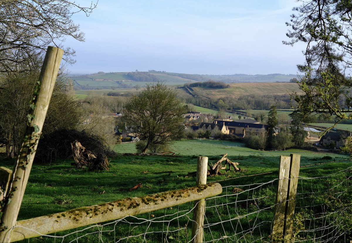 Robert Ward tweet media