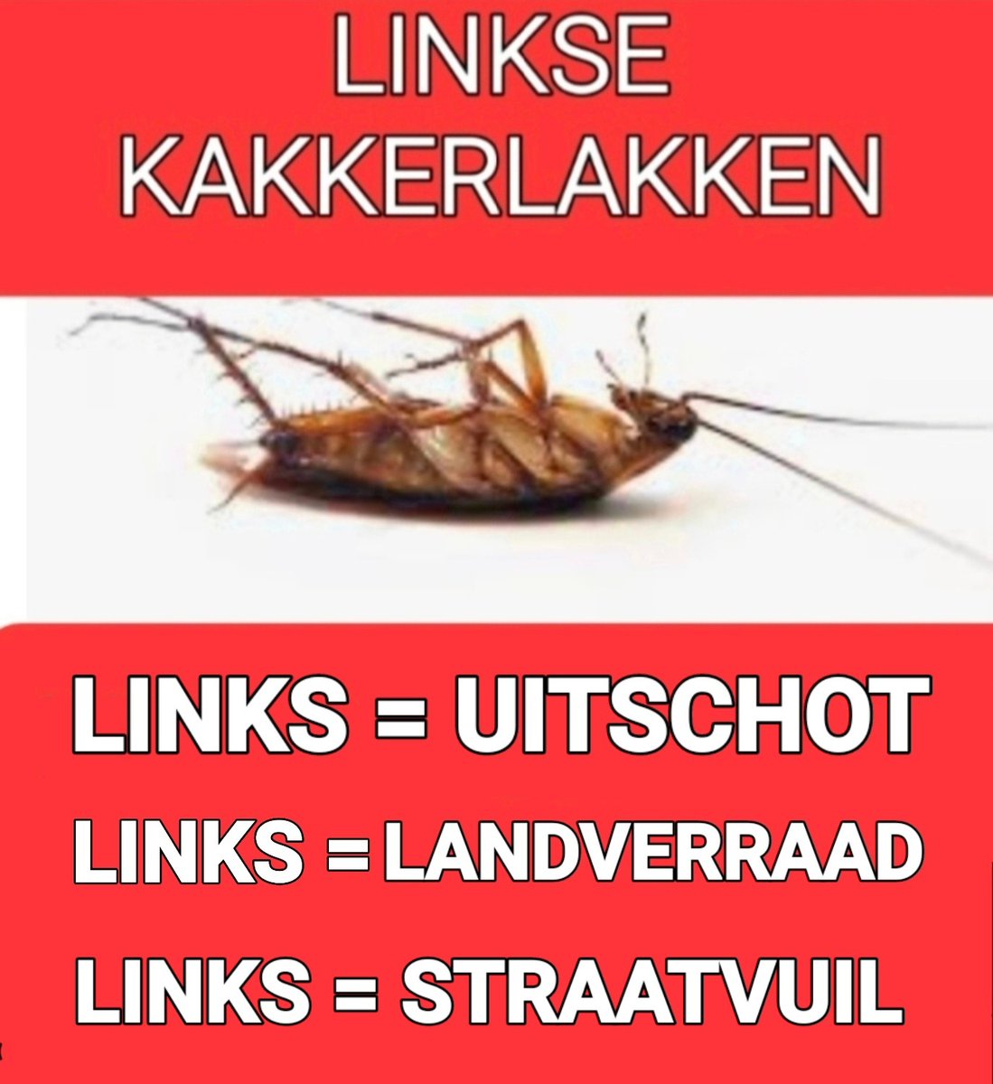 Pascal Lyon Michel tweet media