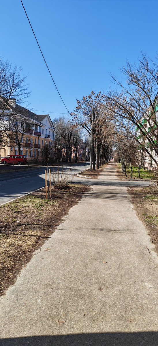 BenderBR 🏴☠️ tweet media