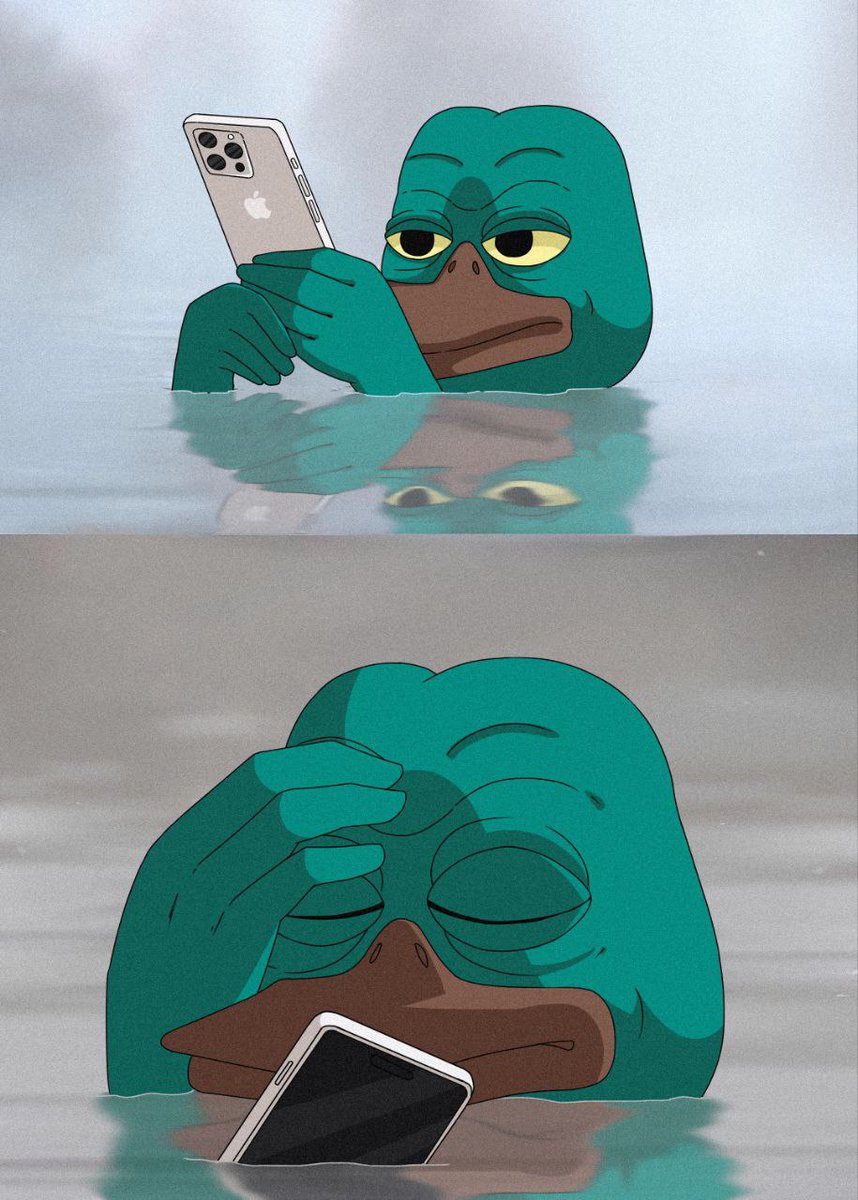 PUSSE THE PLATYPUS tweet media