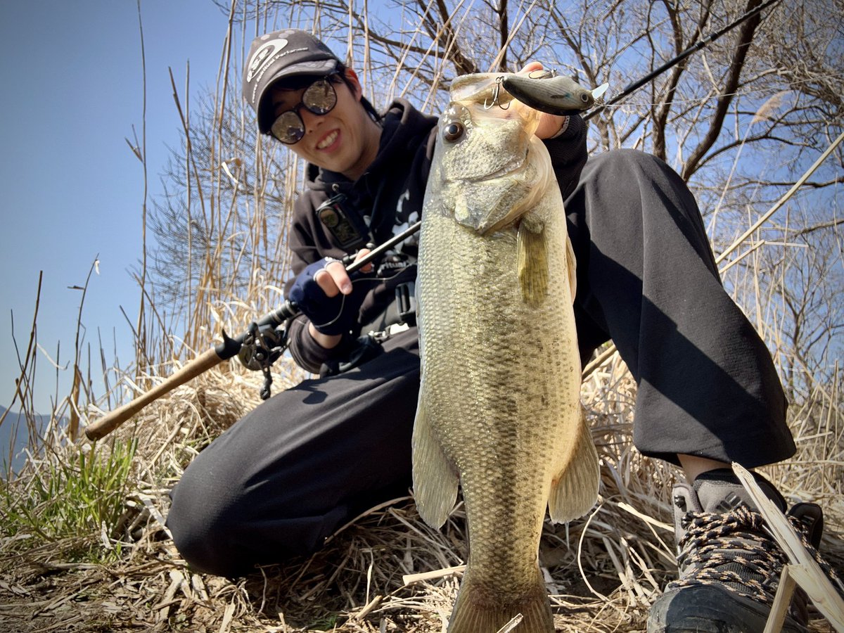 波呂 魁人 tweet media