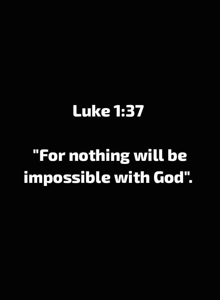 Holy Bible tweet media