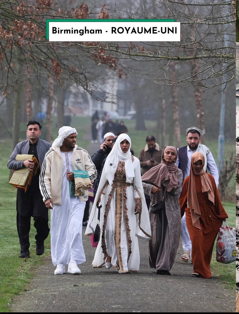 سليان🚹 tweet media