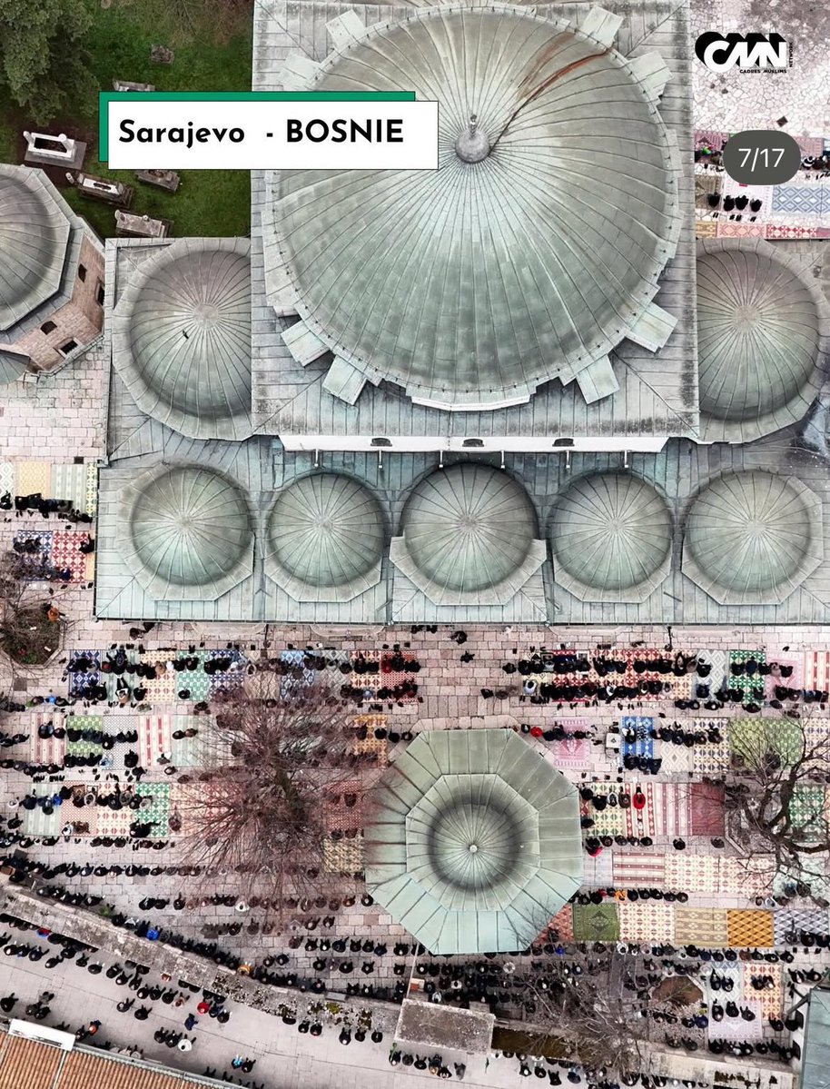 سليان🚹 tweet media