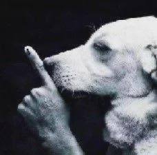 「CLAY」 tweet media