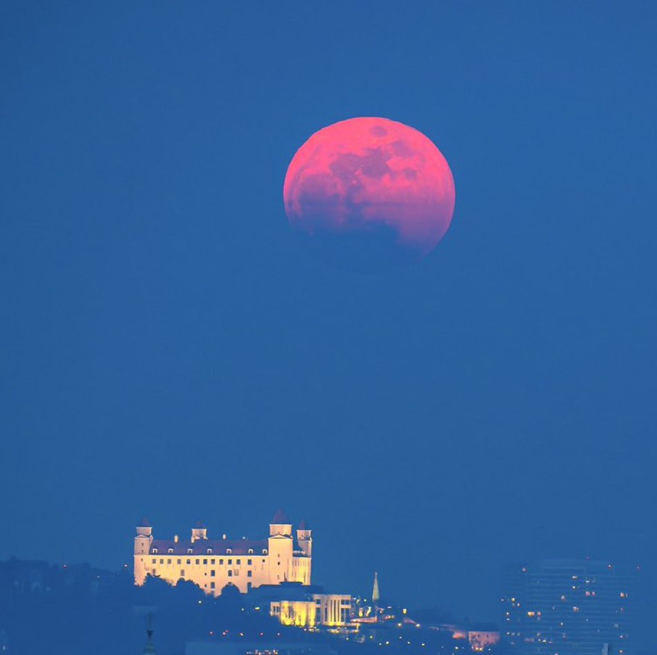 polakovic_jozef's tweet image. 🌕 Blood Moon over Bratislava Castle 🏰
A breathtaking total lunar eclipse painting the sky over our capital. 
#Bratislava #BloodMoon #Eclipse #VisitSlovakia