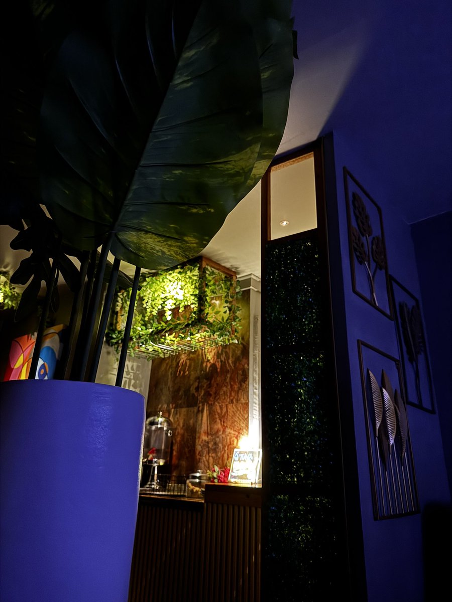 Yodi 🪬 tweet media